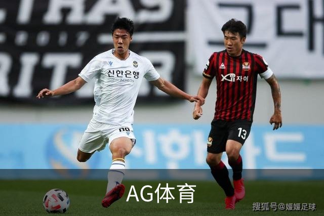 AG体育公司简介展示图